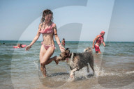 FEATURE - In Maccarese darf der Hund mit an den Strand