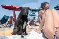 FEATURE - In Maccarese darf der Hund mit an den Strand