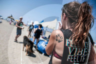FEATURE - In Maccarese darf der Hund mit an den Strand