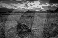 REPORTAGE - Ferndestination Patagonien