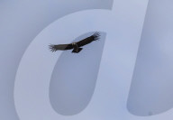 REPORTAGE - Ferndestination Patagonien