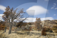 REPORTAGE - Ferndestination Patagonien