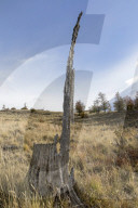 REPORTAGE - Ferndestination Patagonien