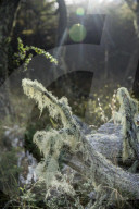 REPORTAGE - Ferndestination Patagonien