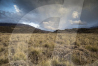 REPORTAGE - Ferndestination Patagonien