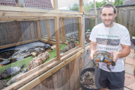 FEATURE -  Teenage Mutant Ninja Turtle-Superfan beherbergt 1000 Schildkröten