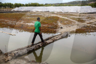NEWS - Alltag in Banda Aceh, Indonesien