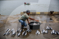 NEWS - Alltag in Banda Aceh, Indonesien