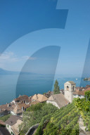 REPORTAGE - Weingebiet Lavaux am Genfersee