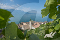 REPORTAGE - Weingebiet Lavaux am Genfersee
