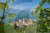 REPORTAGE - Weingebiet Lavaux am Genfersee