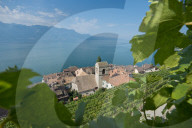 REPORTAGE - Weingebiet Lavaux am Genfersee