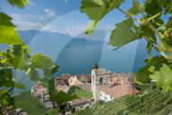 REPORTAGE - Weingebiet Lavaux am Genfersee