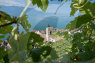 REPORTAGE - Weingebiet Lavaux am Genfersee
