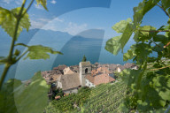 REPORTAGE - Weingebiet Lavaux am Genfersee