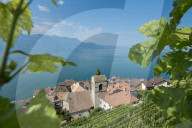 REPORTAGE - Weingebiet Lavaux am Genfersee