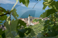 REPORTAGE - Weingebiet Lavaux am Genfersee
