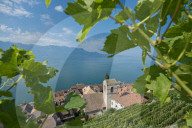 REPORTAGE - Weingebiet Lavaux am Genfersee