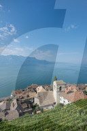 REPORTAGE - Weingebiet Lavaux am Genfersee