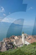 REPORTAGE - Weingebiet Lavaux am Genfersee