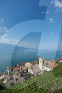 REPORTAGE - Weingebiet Lavaux am Genfersee