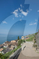 REPORTAGE - Weingebiet Lavaux am Genfersee