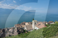 REPORTAGE - Weingebiet Lavaux am Genfersee