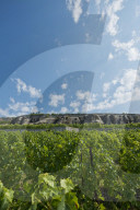 REPORTAGE - Weingebiet Lavaux am Genfersee
