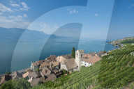 REPORTAGE - Weingebiet Lavaux am Genfersee
