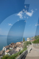 REPORTAGE - Weingebiet Lavaux am Genfersee