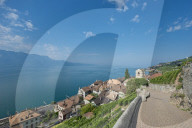 REPORTAGE - Weingebiet Lavaux am Genfersee