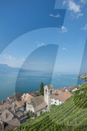 REPORTAGE - Weingebiet Lavaux am Genfersee