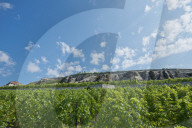 REPORTAGE - Weingebiet Lavaux am Genfersee