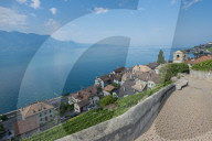 REPORTAGE - Weingebiet Lavaux am Genfersee