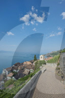 REPORTAGE - Weingebiet Lavaux am Genfersee