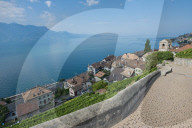 REPORTAGE - Weingebiet Lavaux am Genfersee
