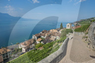 REPORTAGE - Weingebiet Lavaux am Genfersee
