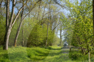 FEATURE - Ehemaliges lettischen Exilanten Heim und Turberkulose Krankenhaus steht zum Verkauf 