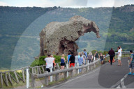 FEATURE - Pix of the Day: Bilder des Tages