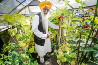 FEATURE - Riesengemüse aus Indien: 130 cm große Gurke dank täglichem Beten