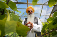 FEATURE - Riesengemüse aus Indien: 130 cm große Gurke dank täglichem Beten