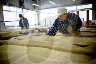 REPORTAGE - Urakasumi Sake Brauerei in Japan