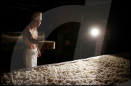 REPORTAGE - Urakasumi Sake Brauerei in Japan