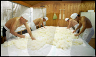 REPORTAGE - Urakasumi Sake Brauerei in Japan
