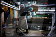 REPORTAGE - Urakasumi Sake Brauerei in Japan
