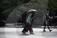 FEATURE - Pix of the Day: Bilder des Tages