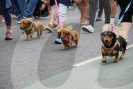 FEATURE - Pix of the Day: Bilder des Tages