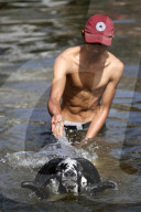 REPORTAGE - Traditionelle SchafbockkÃ¤mpfe in Java