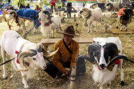 REPORTAGE - Traditionelle SchafbockkÃ¤mpfe in Java