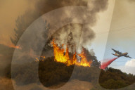 NEWS - USA: Waldbrände in Kalifornien